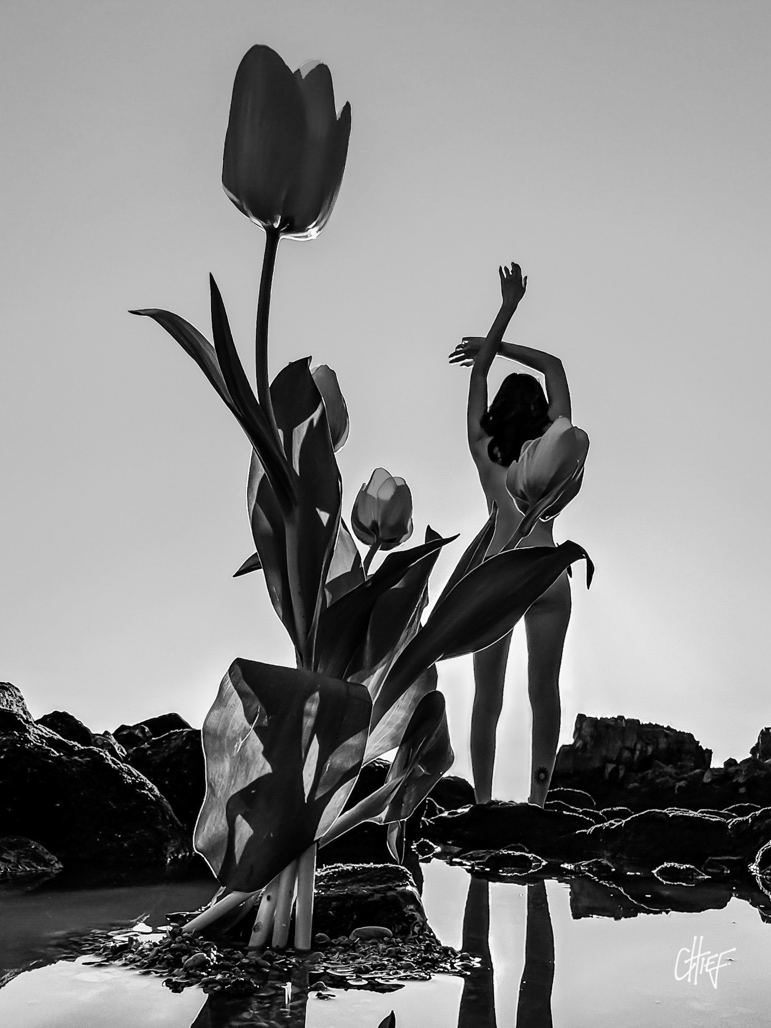 Open After Midnight artistic photography collection
