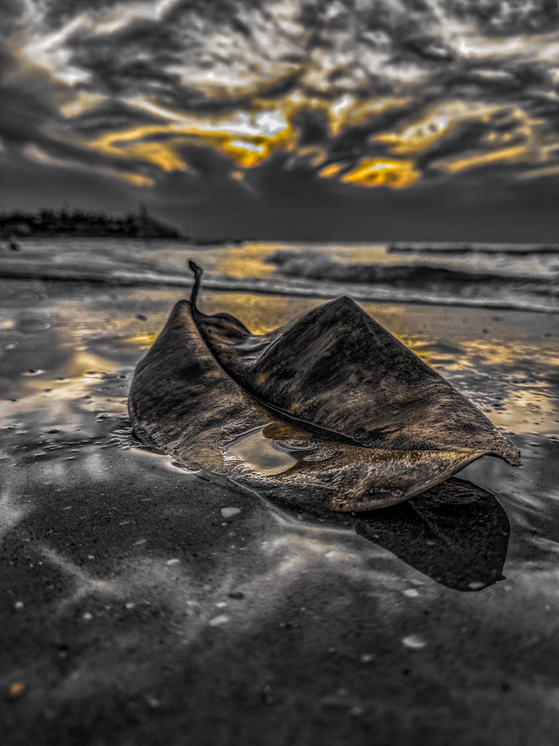 Premium 02 — Premium Limited Edition Photography by CHIEF