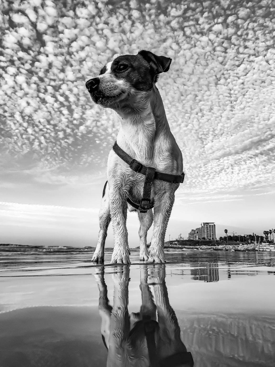 Premium 09 — Premium Limited Edition Photography by CHIEF