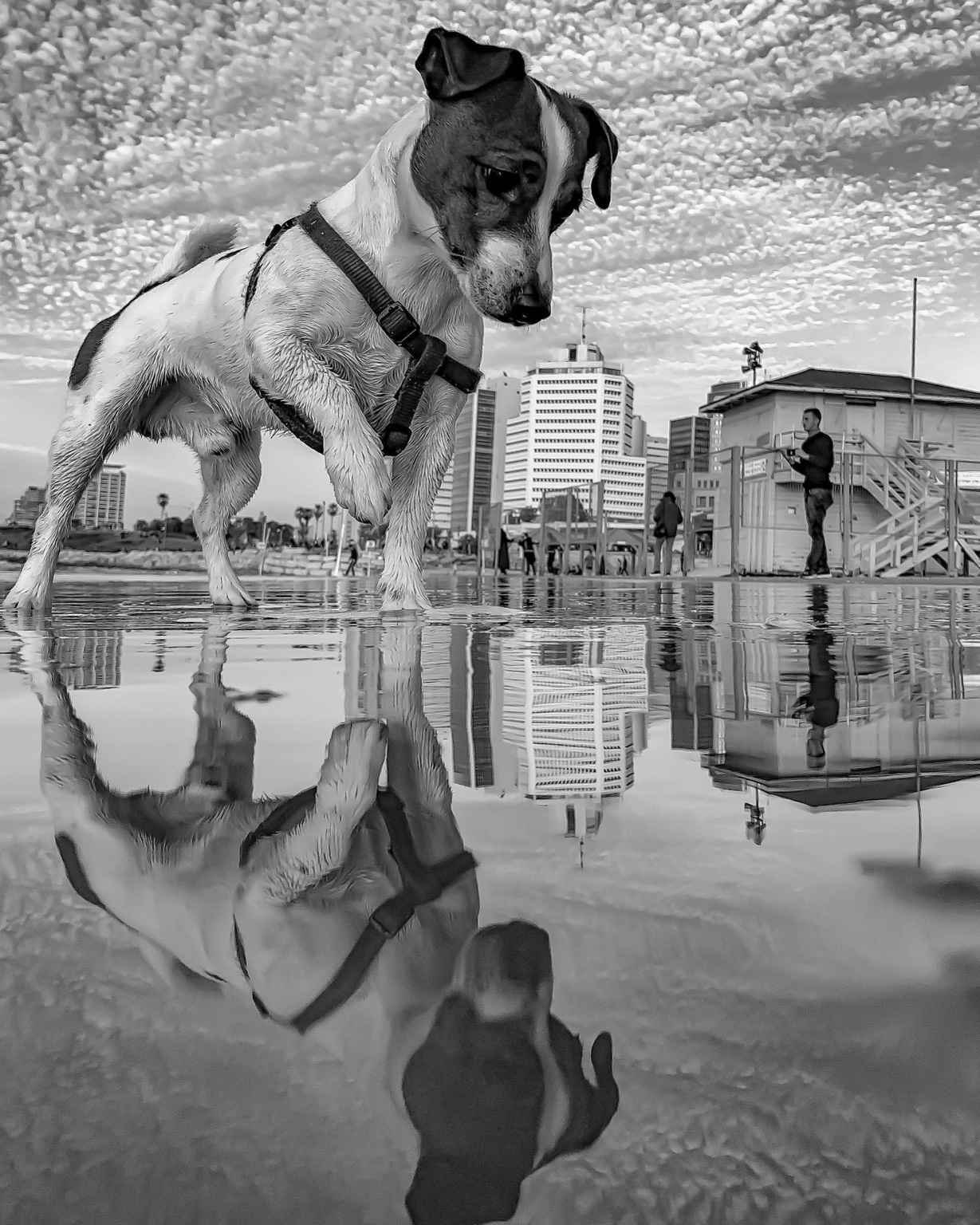 Premium 12 — Super Premium Fine Art Photography by CHIEF