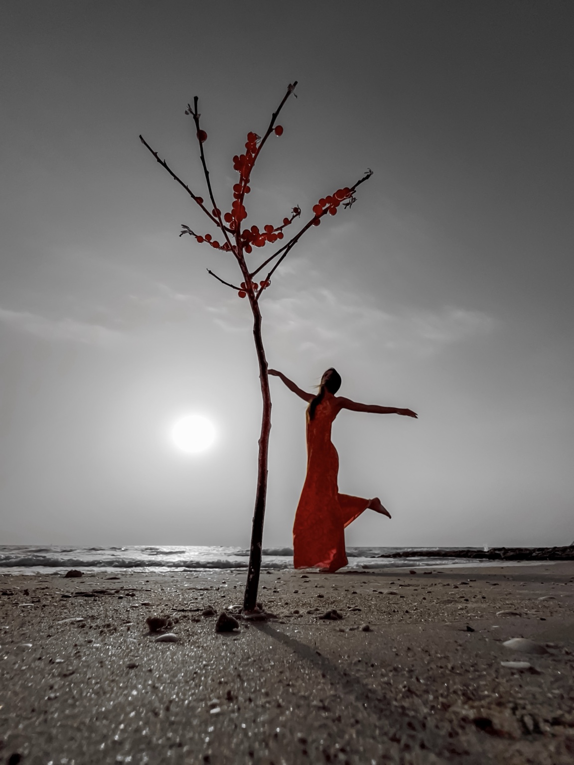 Learning to Fly — Premium Limited Edition Photography by CHIEF