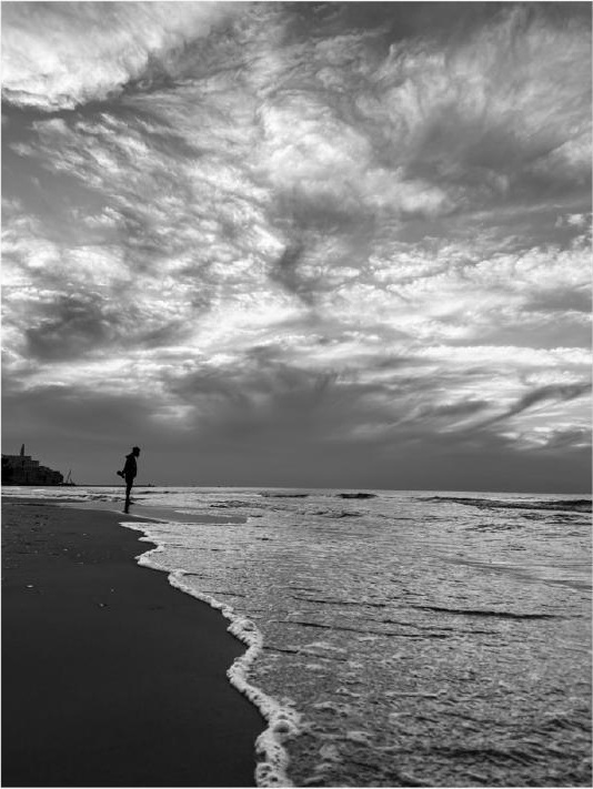 Stillness — Art Edition — Photography for the Home by CHIEF