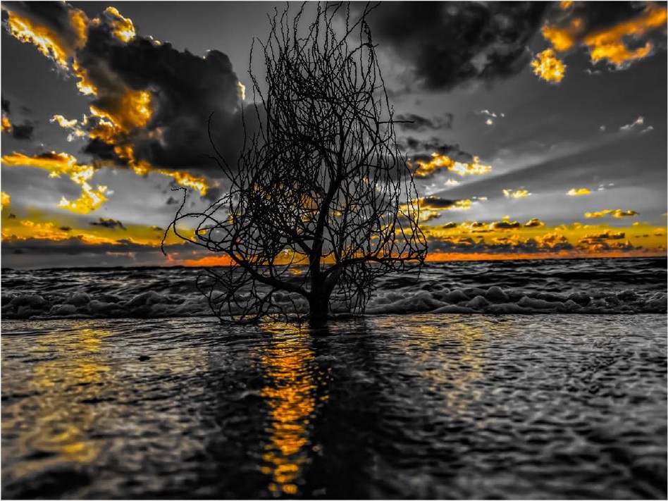 Revelation — Premium Limited Edition Photography by CHIEF