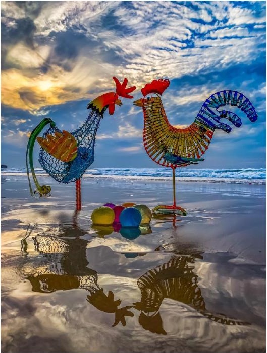 Free-Range Eggs — Premium Limited Edition Photography by CHIEF