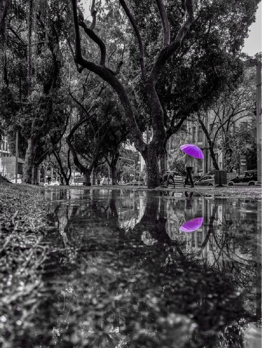 Purple Rain — Art Edition — Photography for the Home by CHIEF
