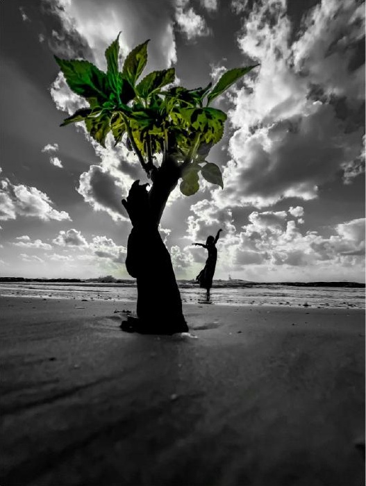 Rooted in the Sky — Premium Limited Edition Photography by CHIEF