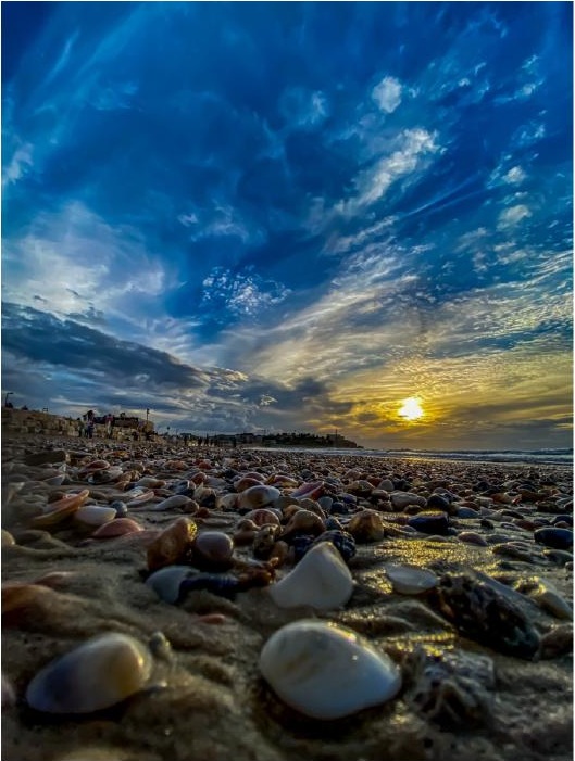 What the Sea Left Behind — Art Edition — Photography for the Home by CHIEF
